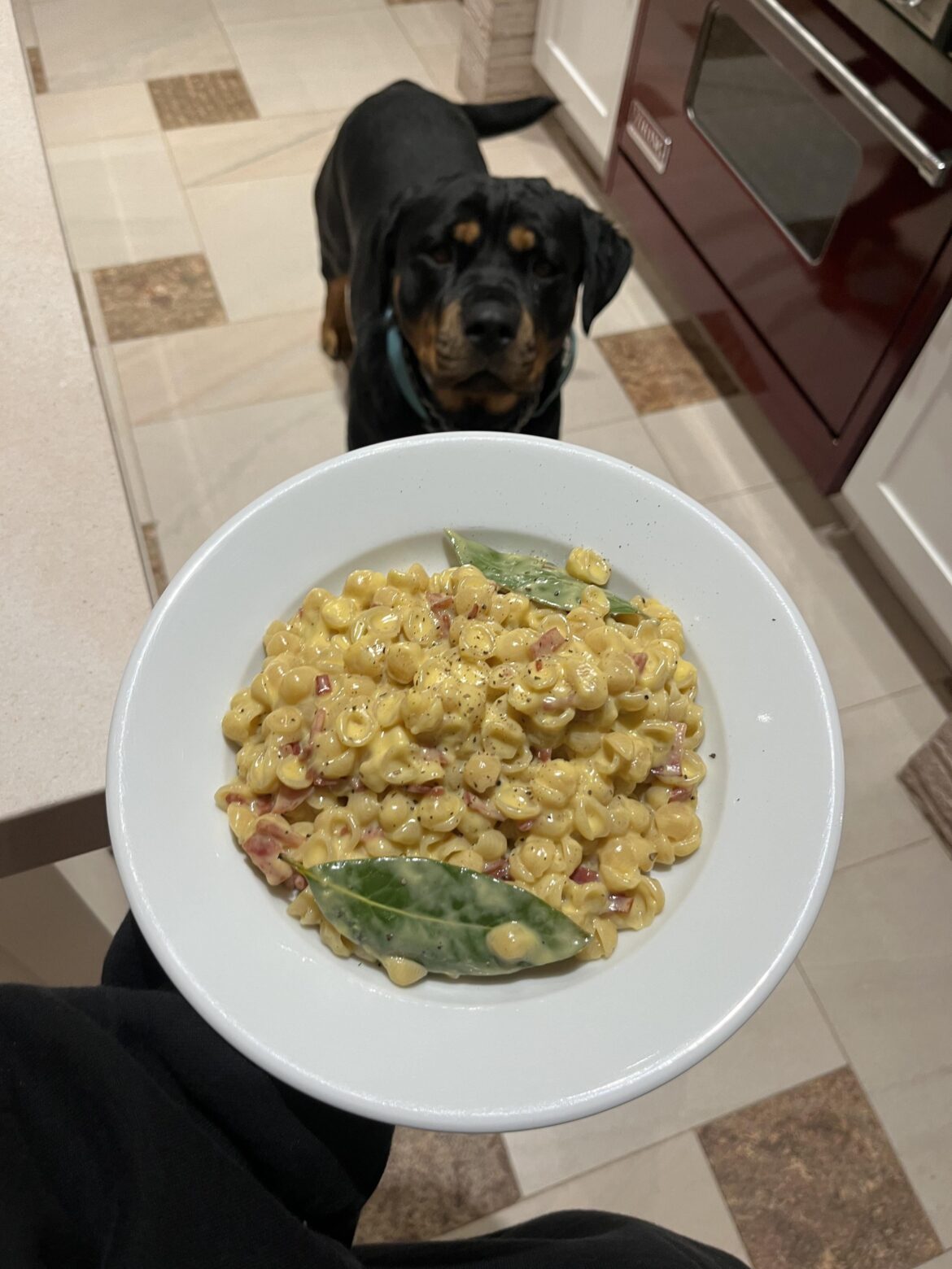 tiny shell carbonara