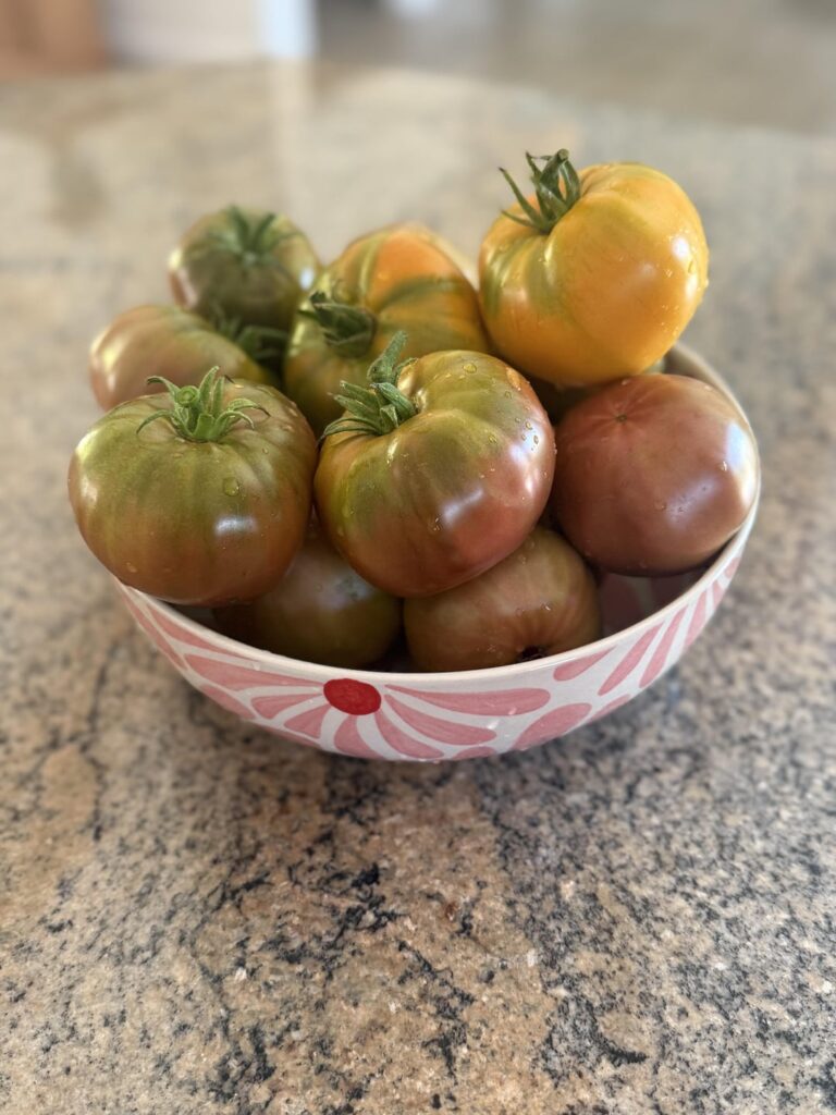 Proudest moment for my first year garden