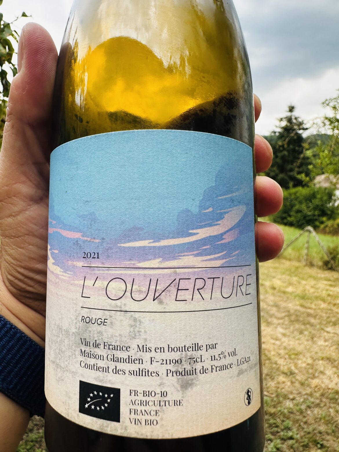 Gamay from Maison Glandien