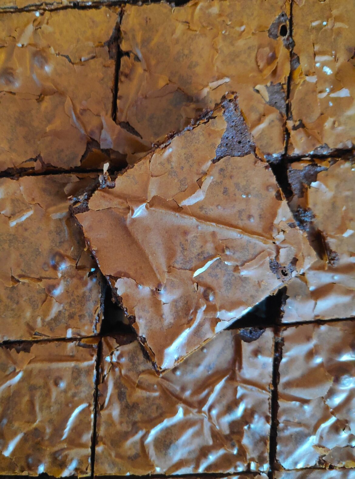 Homemade brownies.