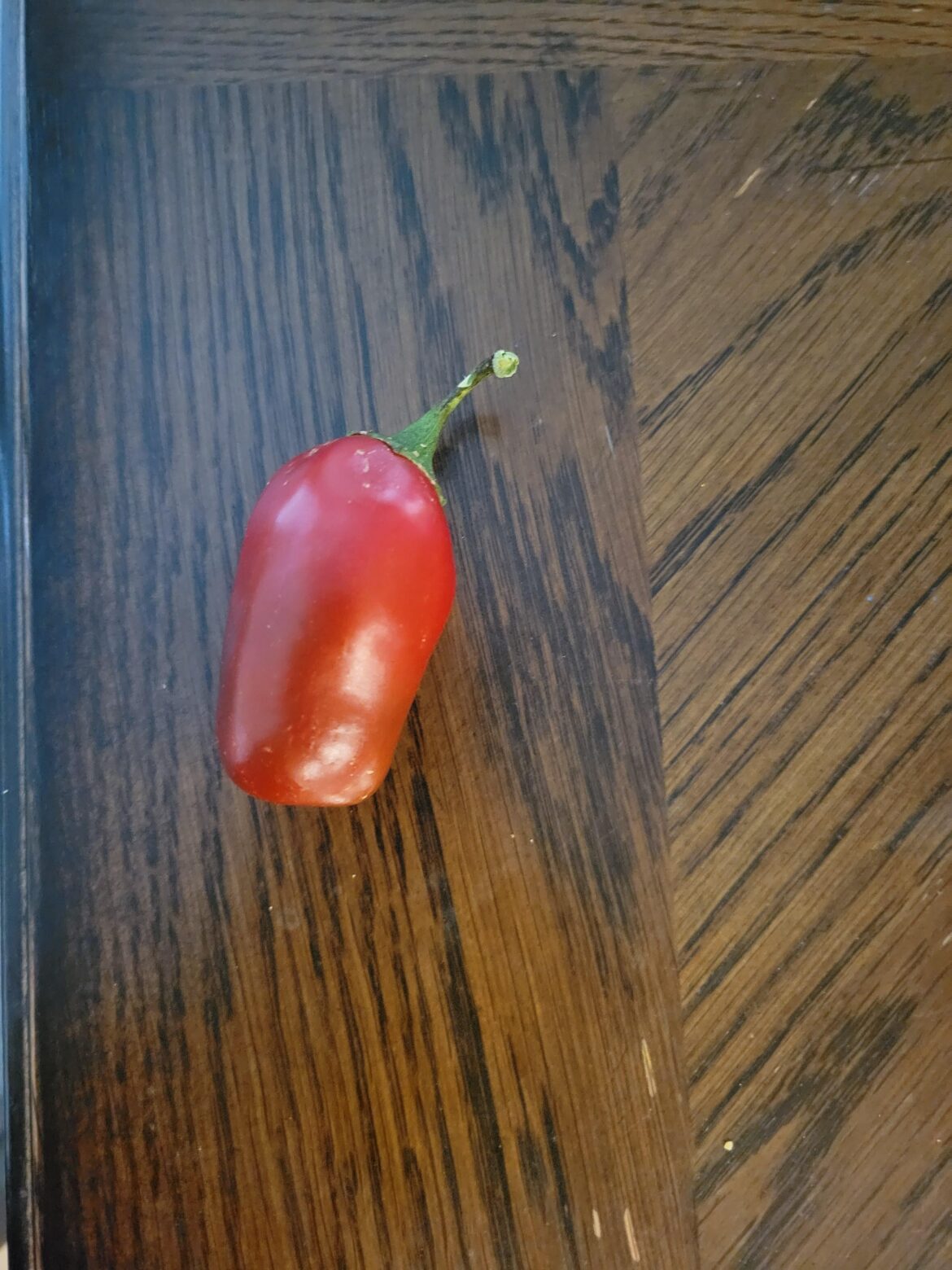 Jalapeno!
