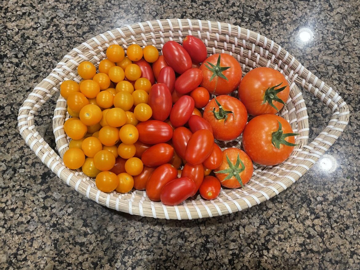 Best harvest yet!