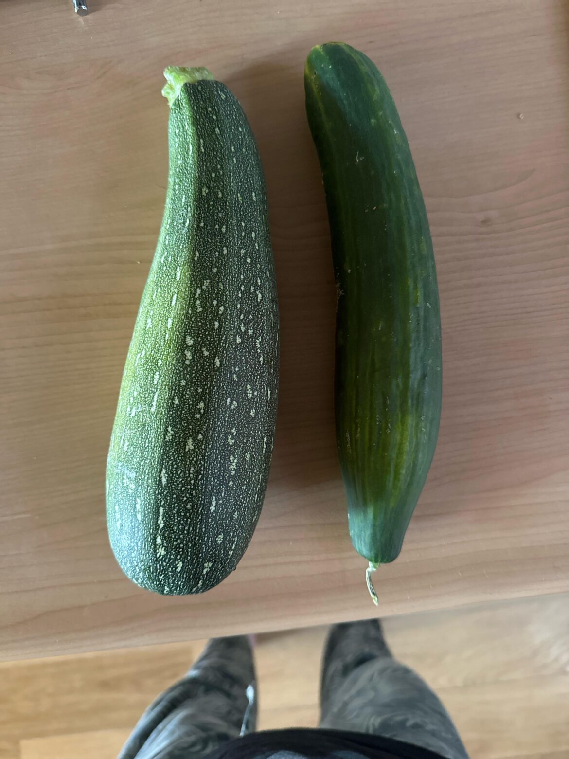 My courgette, and my cucumber, first time gardening my own veggies, started earlier this year. I feel proud!