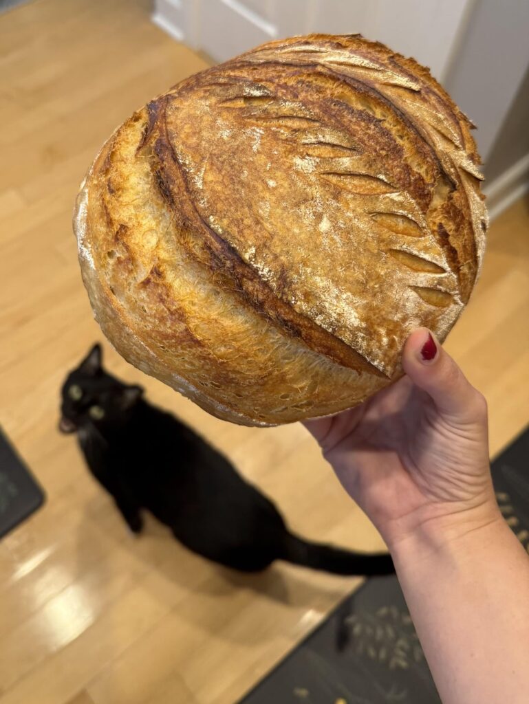 First two loaves with my new starter