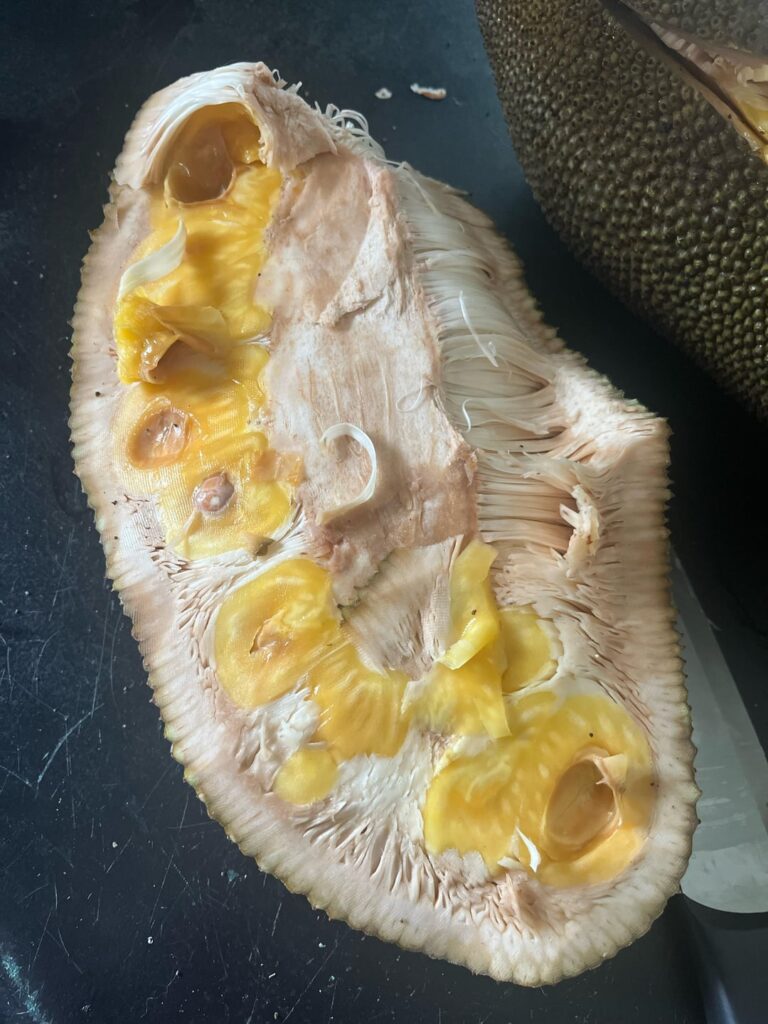 Jackfruit