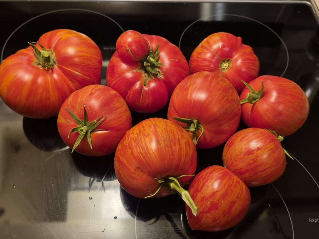 Heirloom tomatoes forever I think... 😂