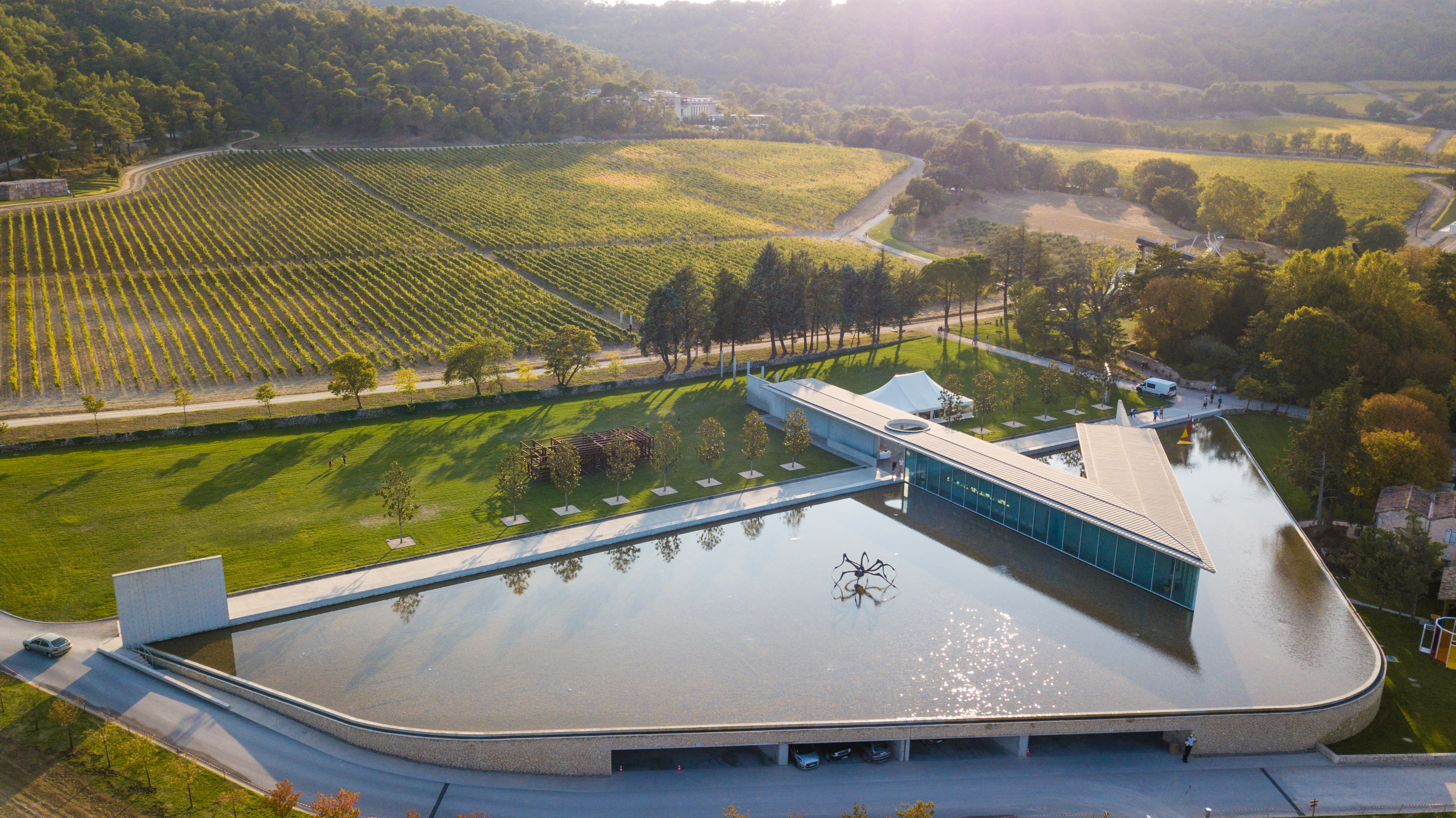 Aerial view of a modern art museum with a reflecting pool and spider sculpture, situated amidst vineyards.