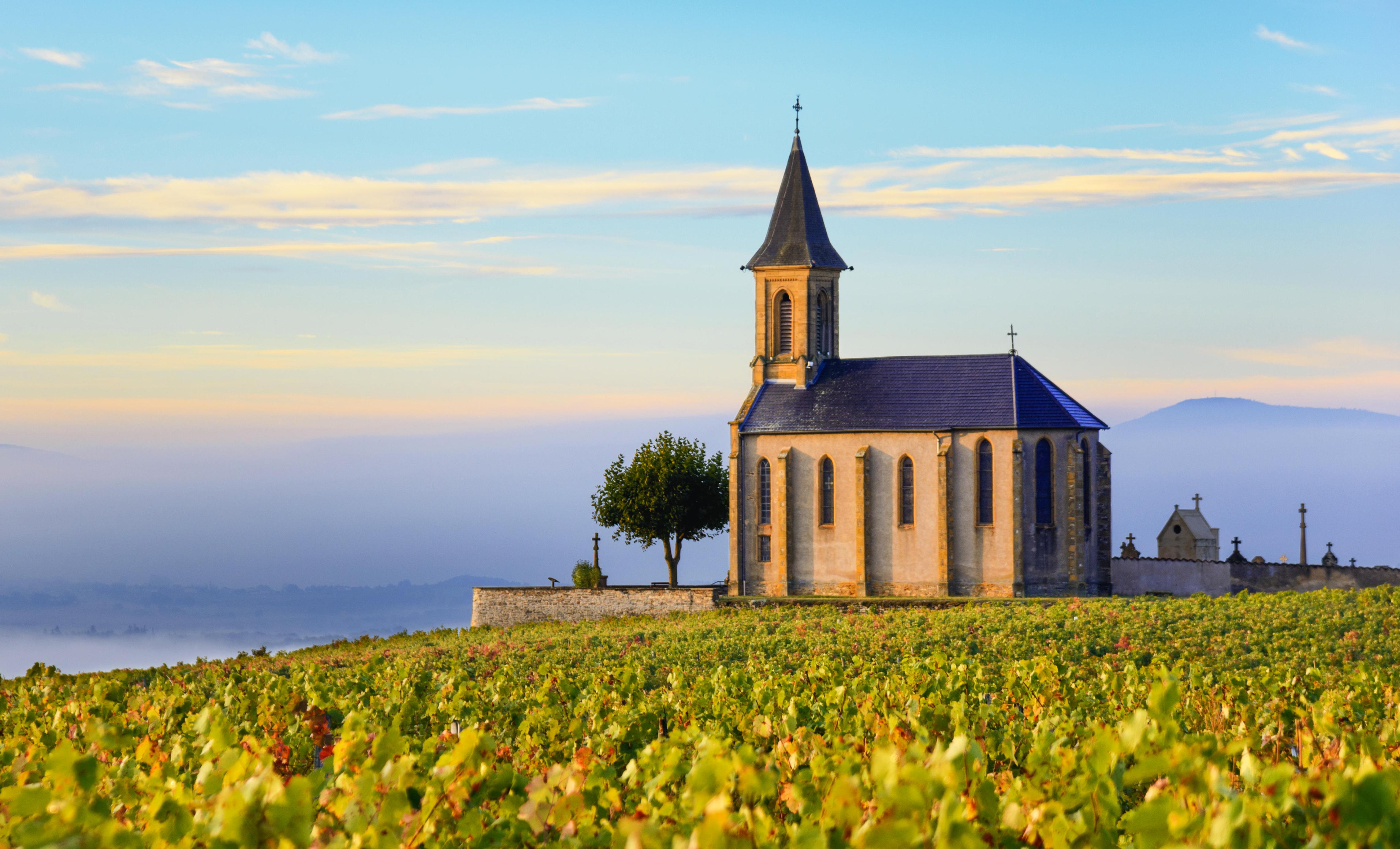 Church in Beaujolais vineyards at sunrise.