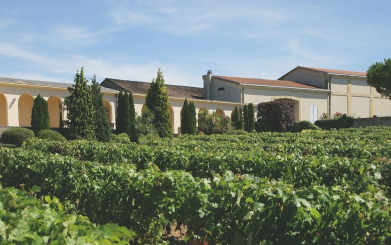 Château Tour des Termes vineyard and winery.