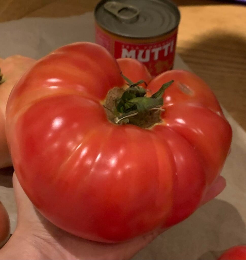 My first time growing tomatoes, how am I doing? How can I preserve them with least effort?