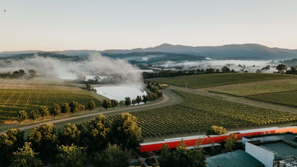 Oakridge Chardonnay 2023 at $48 among winery's drops blowing competition away in latest Halliday Wine Companion rankings