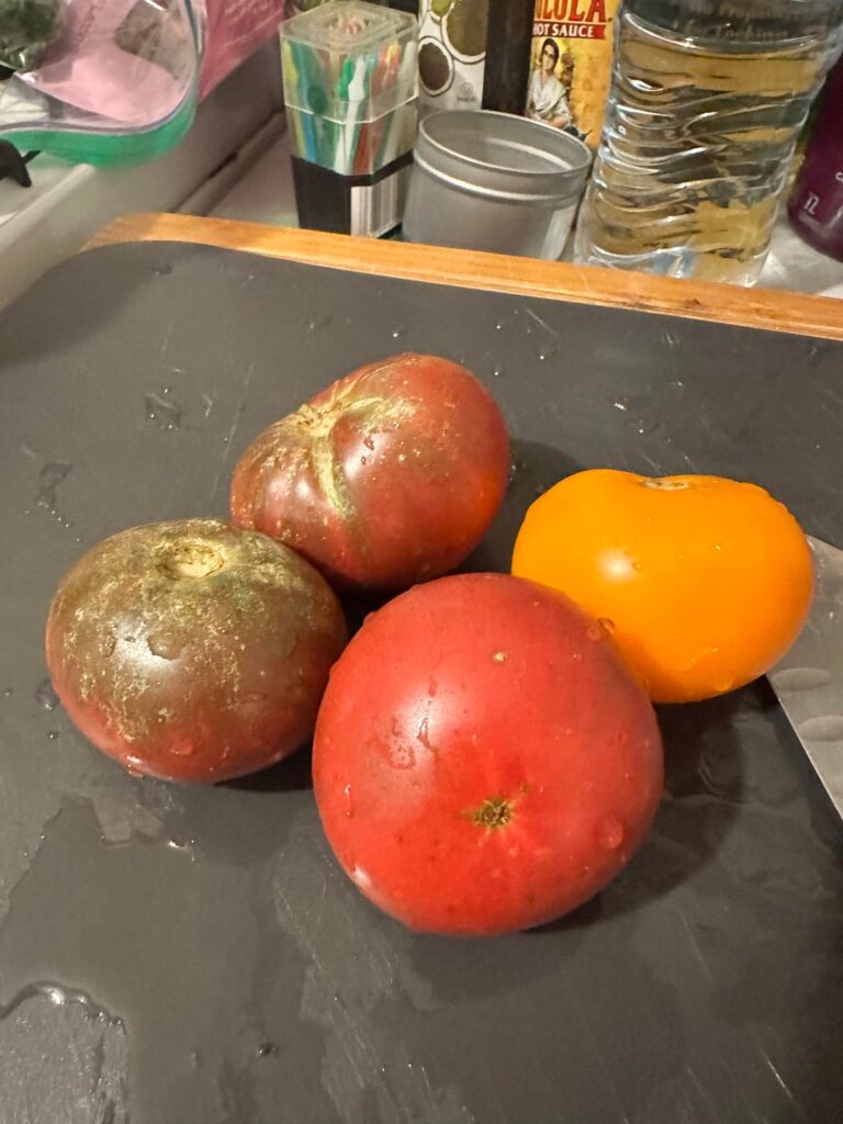 4 months of love, vigilance and agony…behold my bountiful harvest!!