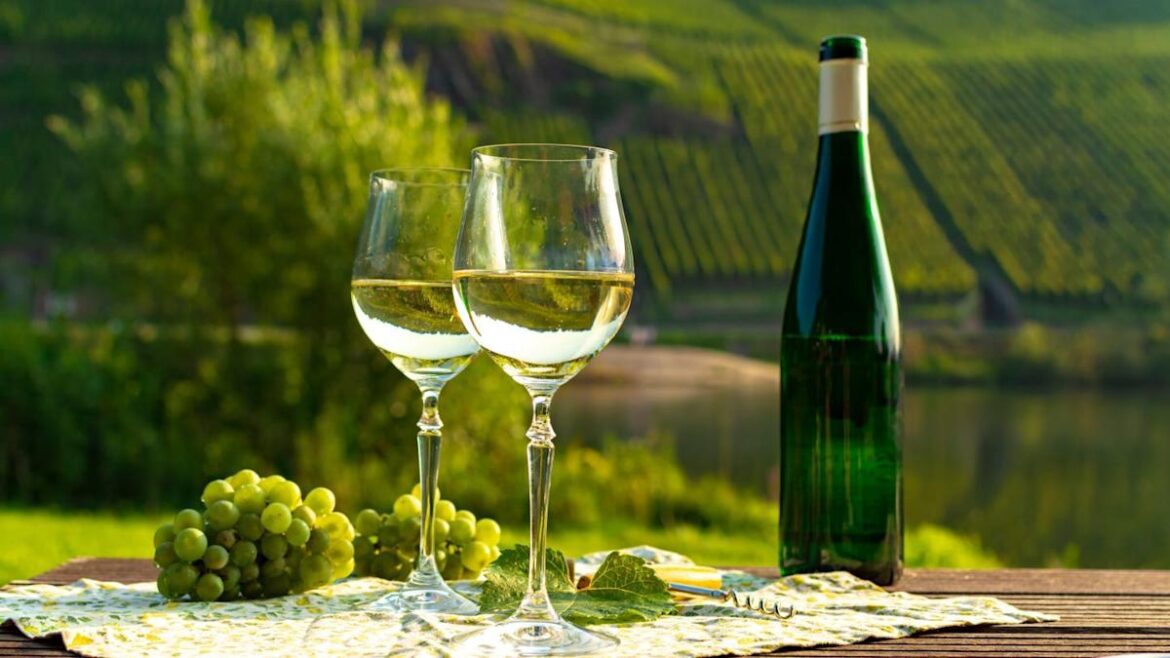 German winegrowers “face ruin in weeks”, warns trade body