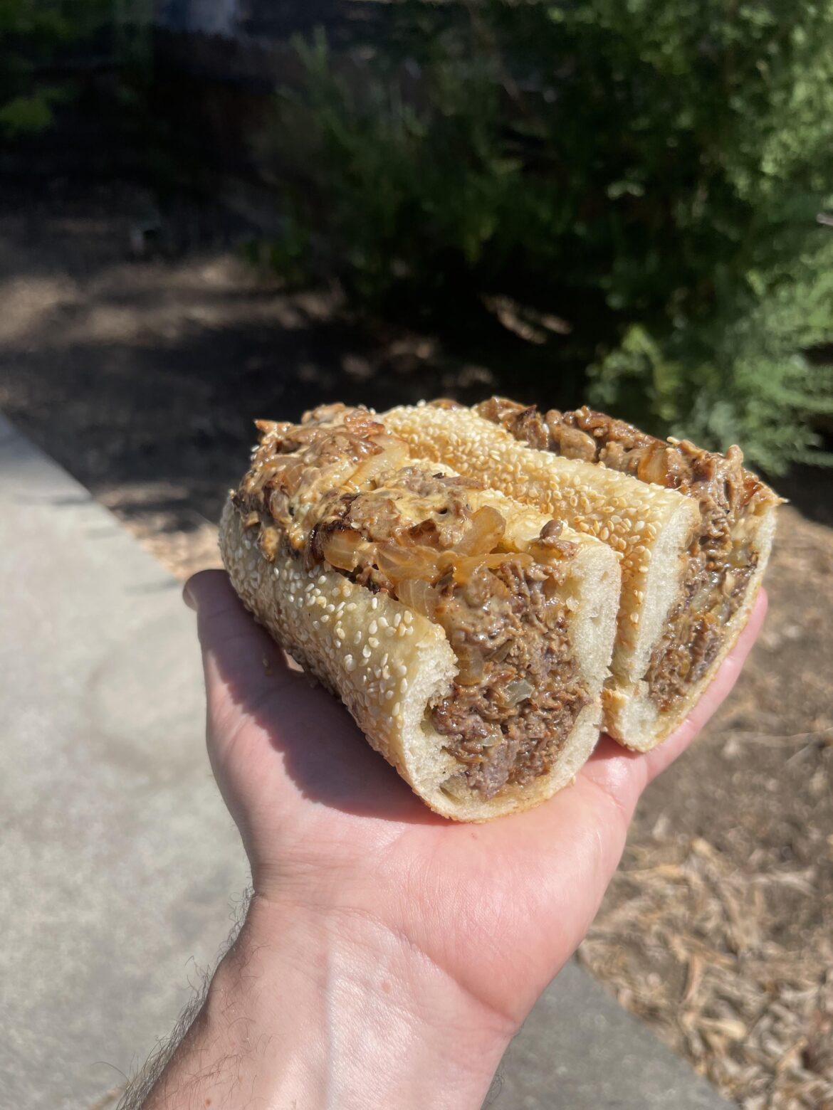 [homemade] cheesesteak on a home made seeded roll