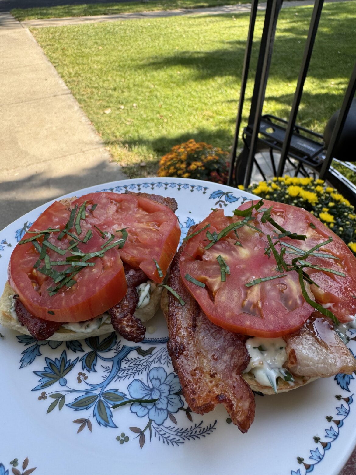 Homegrown tomato and bacon on a homemade bagel. With a garlicky herb mayo.