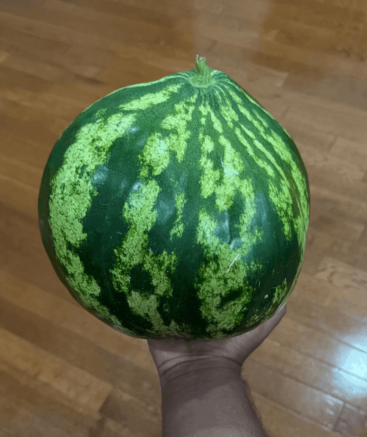 Even this watermelon wants to be an onion
