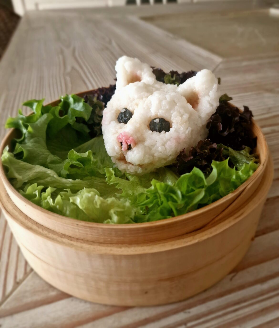 Cat onigiri