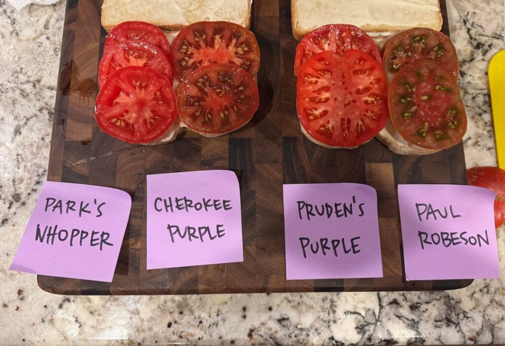 We did a BLT taste-off for dinner