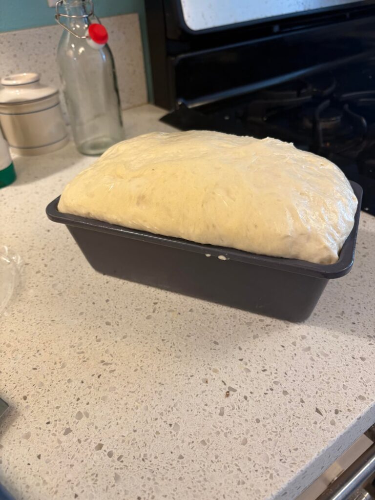 My weekly pan loaf