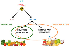 Concentration of 210Po in vegan diet foods commercialized in Italy and dose calculation Elsevier