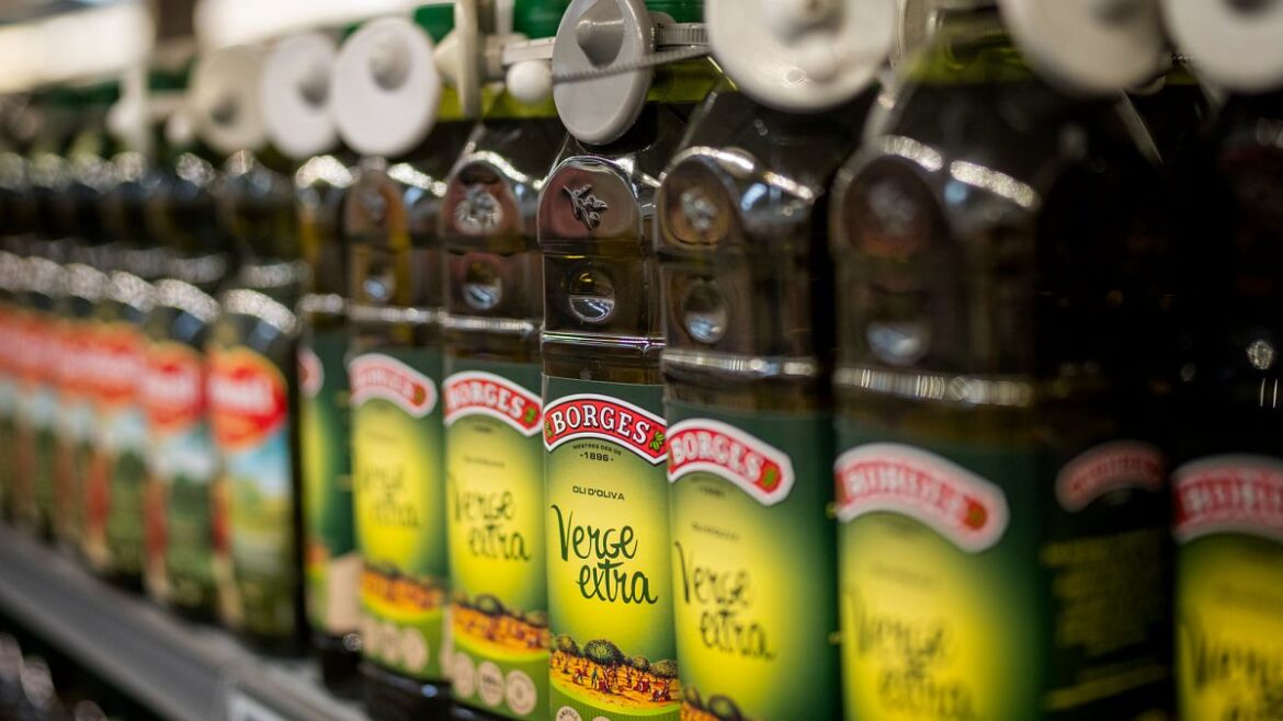 Fact check: debunking viral claims about Spanish olive oil