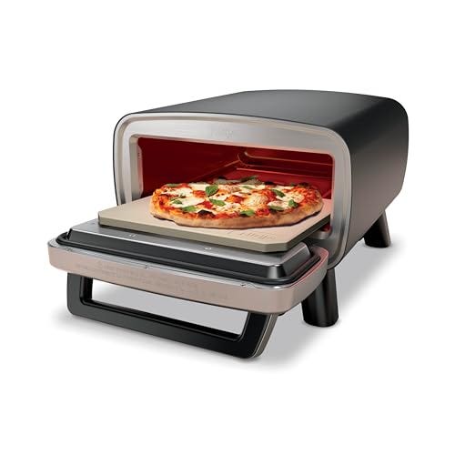 Artisan Outdoor Pizza Oven