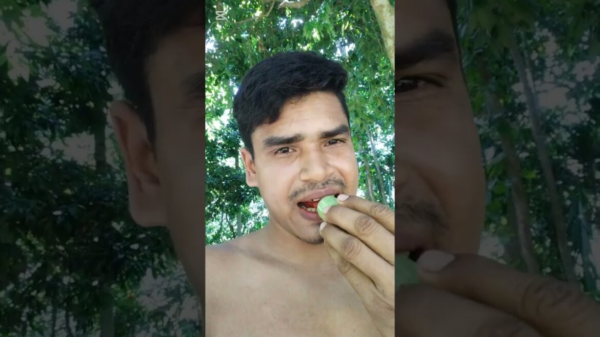 নিজের উঠানে সবজি ফলান |# Easy  #Vegetable #Gardening #Ideas #Bangla