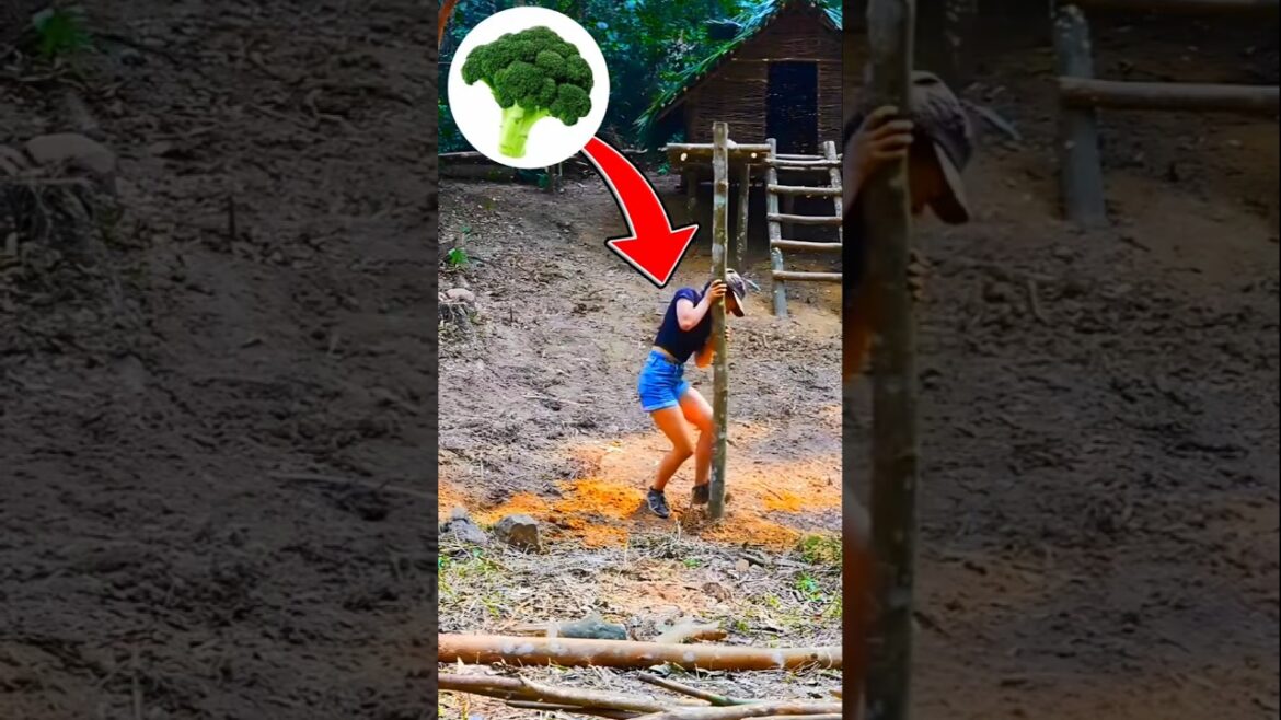 Primitive Vegetable Garden Build in the Wilderness||Part-2||#shorts#nature#farming