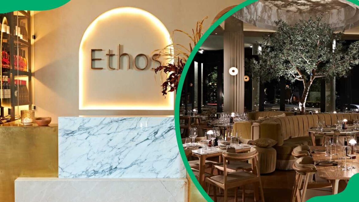 Ethos Restaurant’s menu and prices: Mediterranean cuisine in Rosebank Ethos Restaurant's menu and prices: Mediterranean cuisine in Rosebank
