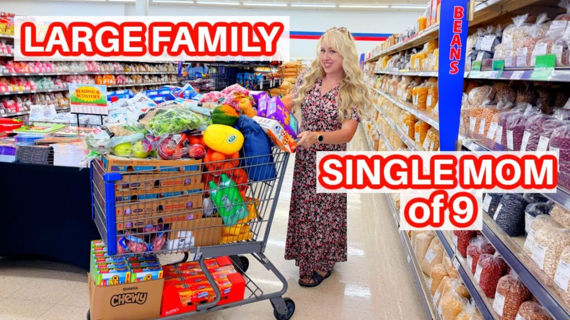 Shop with Me at America's Cheapest Grocery Store September 2025