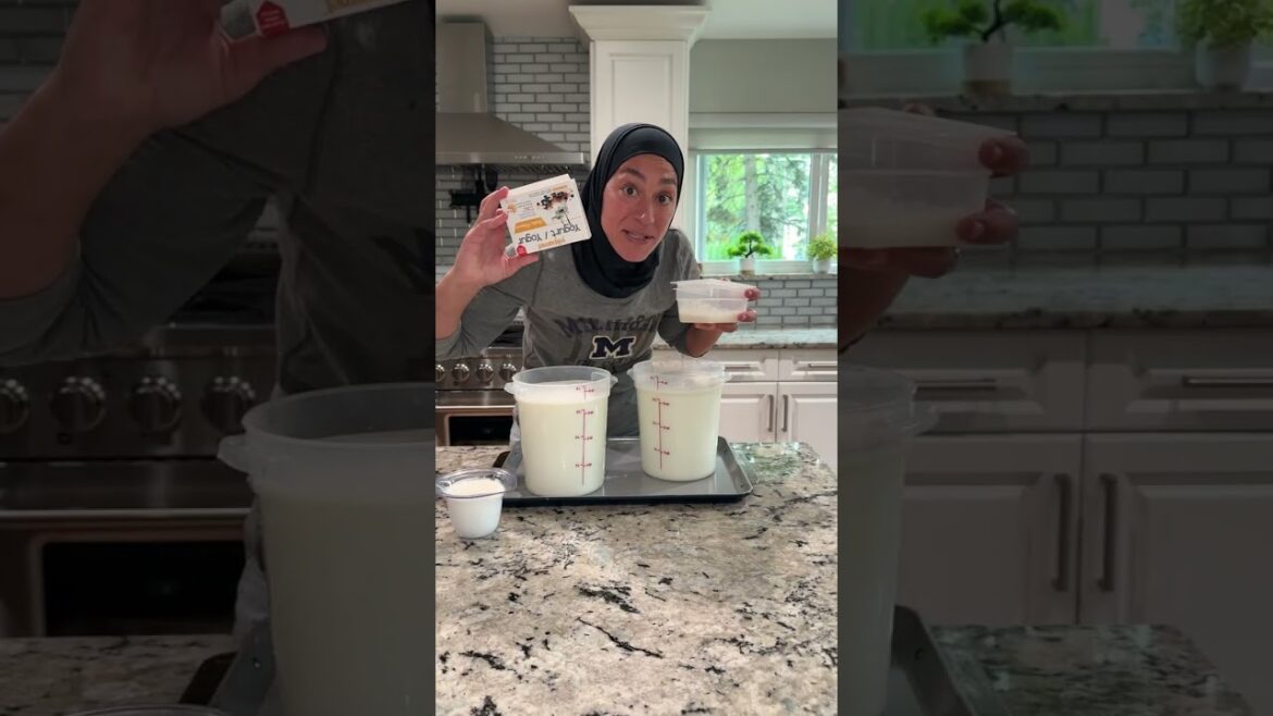 Homemade Lebanese yogurt recipe