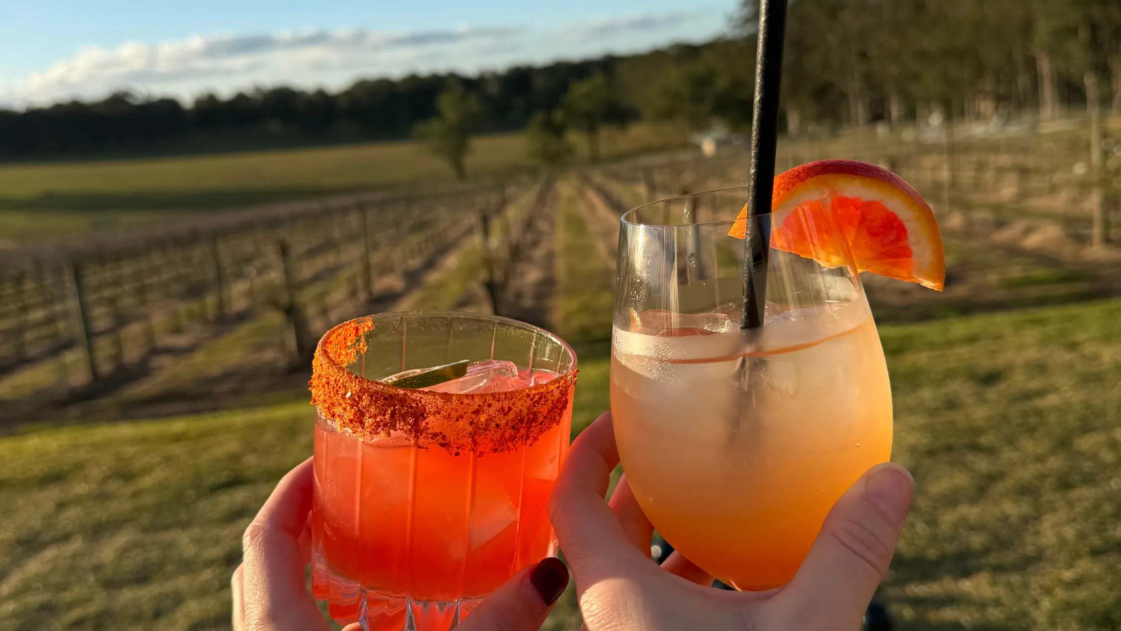 Iron Gate Kitchen cocktails