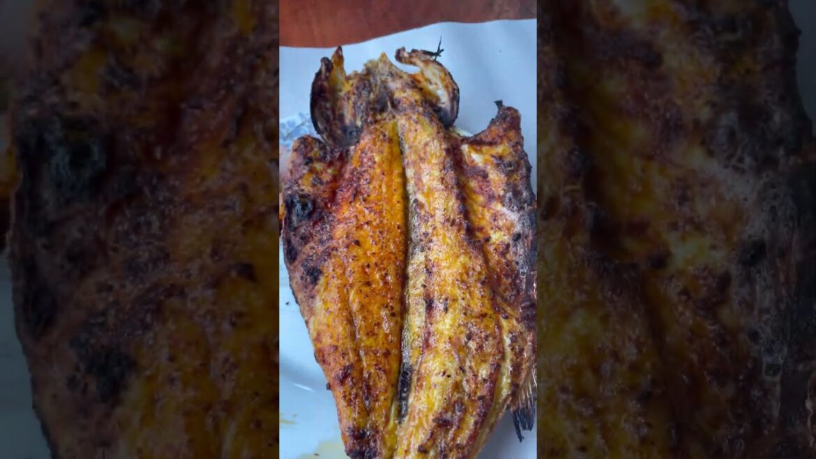 #balık#levrek#adana#istanbul#türkiye