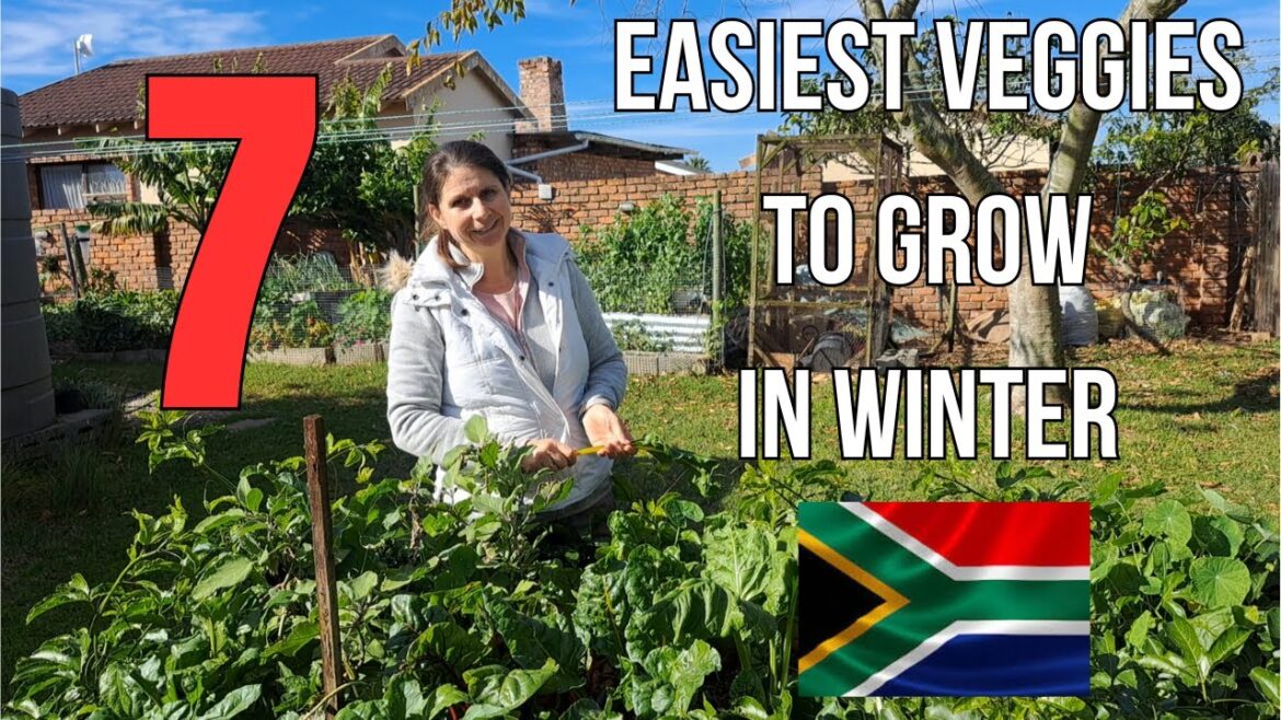 7 Easiest vegetables to grow in winter in South Africa 7 Easiest vegetables to grow in winter in South Africa