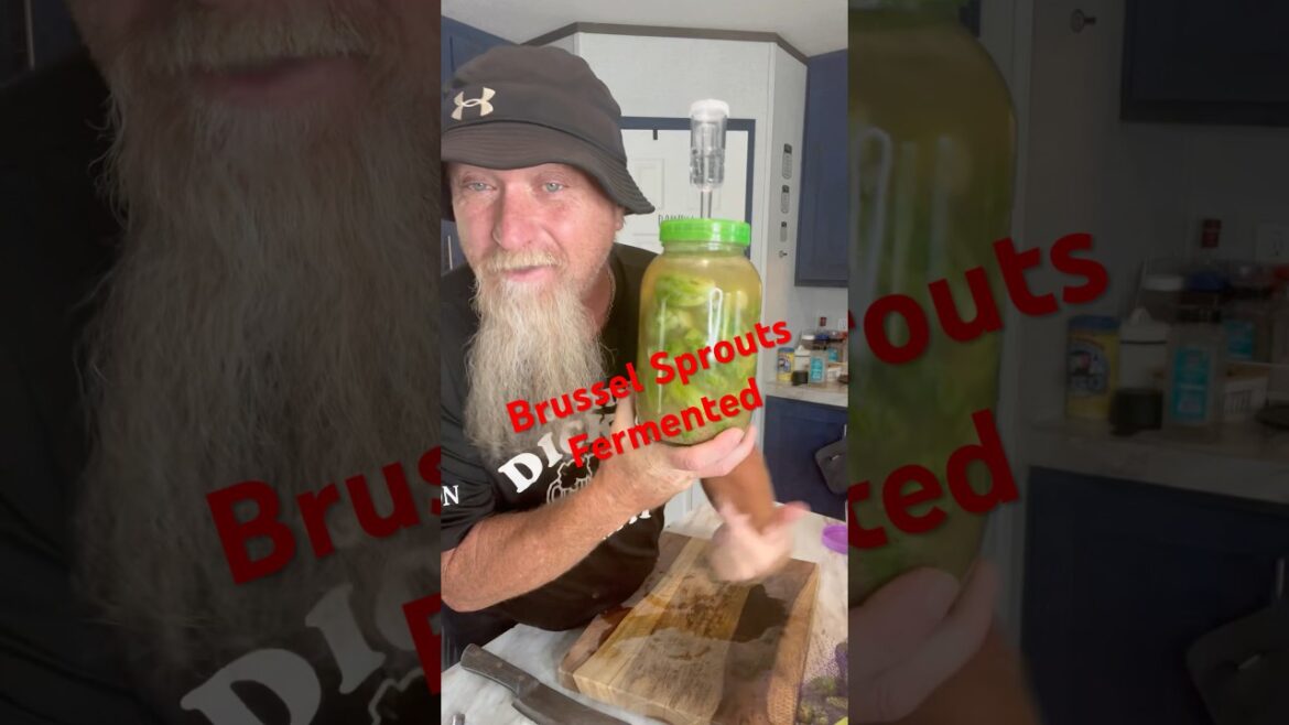 Brussel Sprouts Fermented #foryou #food #healthy #fyp #foryoupage #probiotics Brussel Sprouts Fermented #foryou #food #healthy #fyp #foryoupage #probiotics