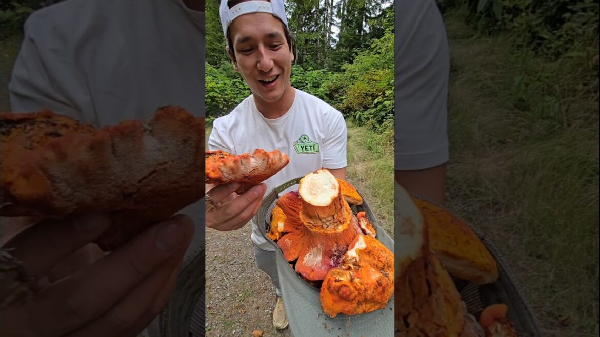 Wild Mushroom Risotto! #risotto #italianfood #lobster #lobstermushroom #foraging #eatlocal #parm