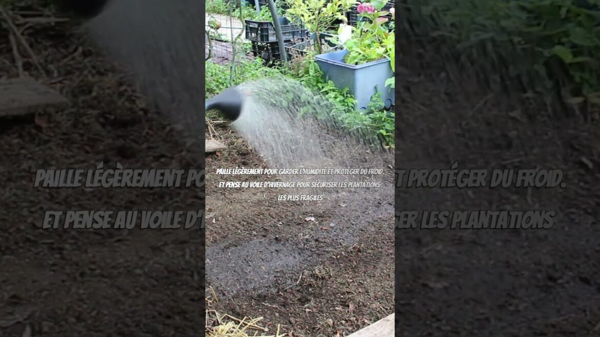 De belles récoltes: Que planter en septembre au potager 7 #potager #jardin #permaculture #garden