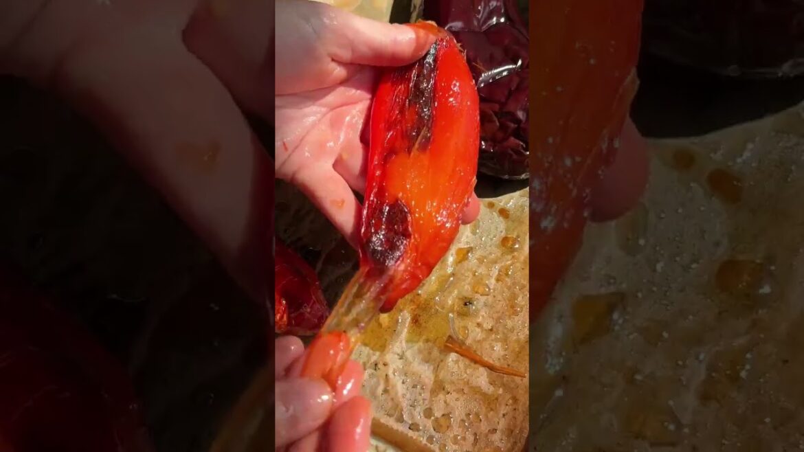 Greek Roasted Eggplant Salad – Melitzanosalata #greekfood #melitzanosalata #eggplantdip  #food Greek Roasted Eggplant Salad – Melitzanosalata #greekfood #melitzanosalata #eggplantdip  #food