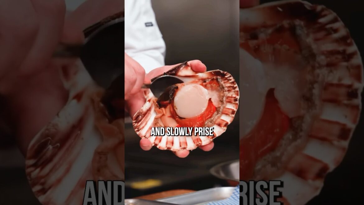 Prepare Scallops Like a Chef Prepare Scallops Like a Chef