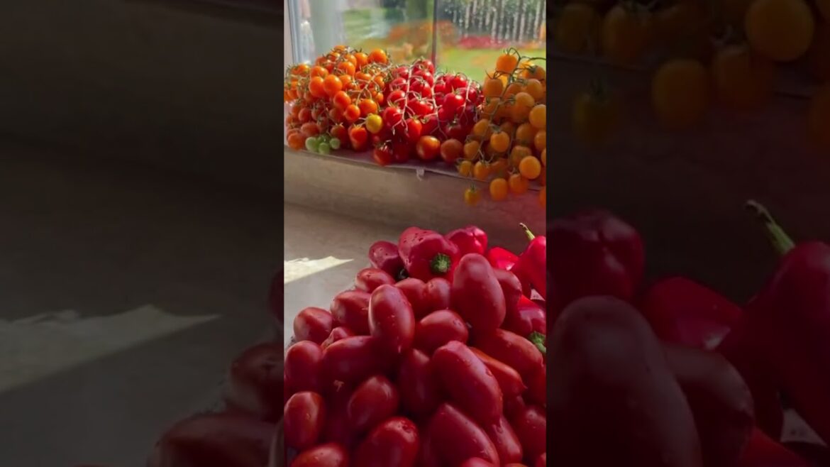 #garden #жизньзагородом #рецепты #огород #shorts