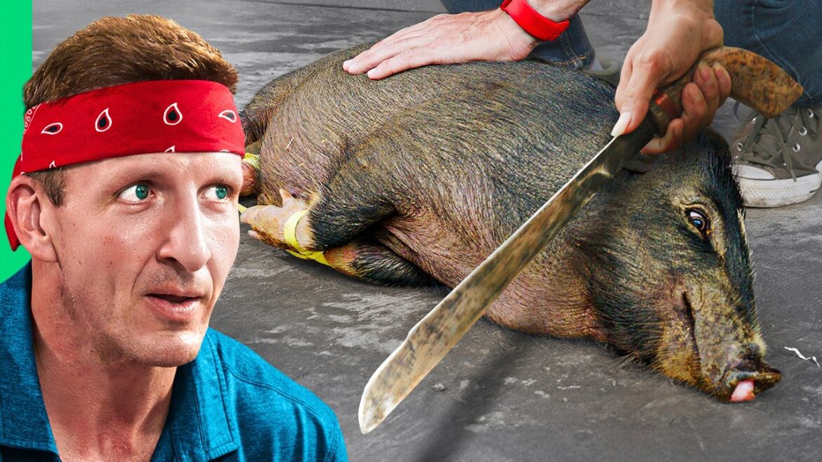 Forbidden Food on Asia’s Biggest Island!! Welcome to Borneo!! Forbidden Food on Asia’s Biggest Island!! Welcome to Borneo!!