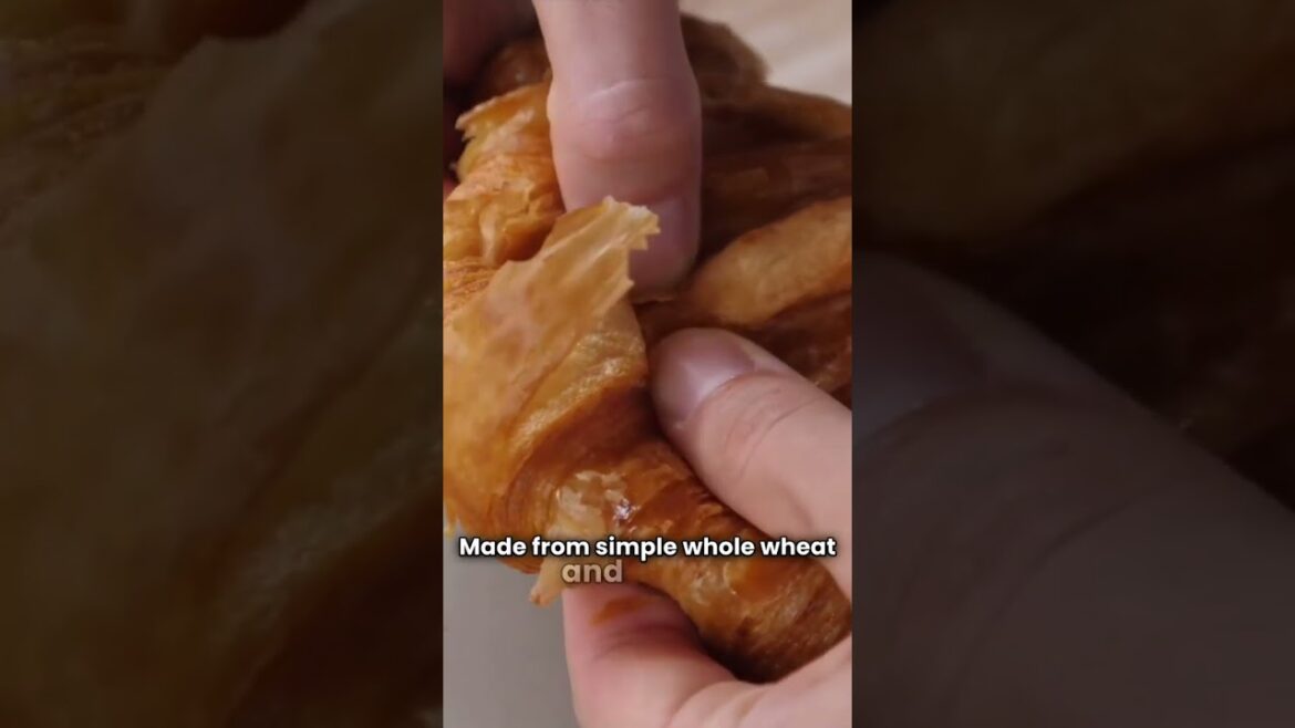 250 Million Loaves a Day? The Egyptian Bread You Didn’t Know 250 Million Loaves a Day? The Egyptian Bread You Didn’t Know