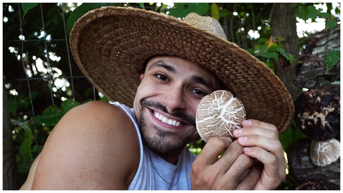 Late Summer in My Vegetable Garden | Tour Late Summer in My Vegetable Garden | Tour