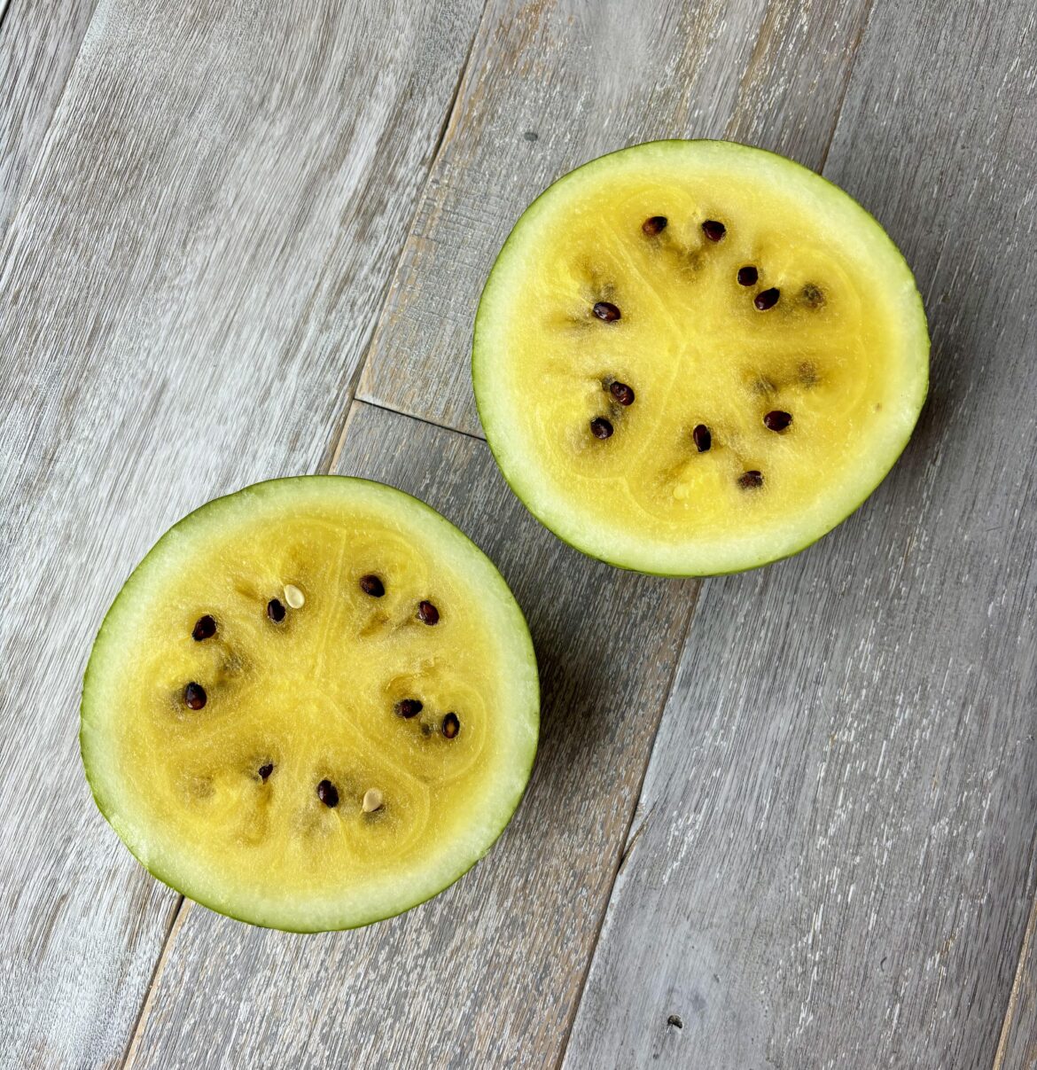 Can’t believe I grew this.