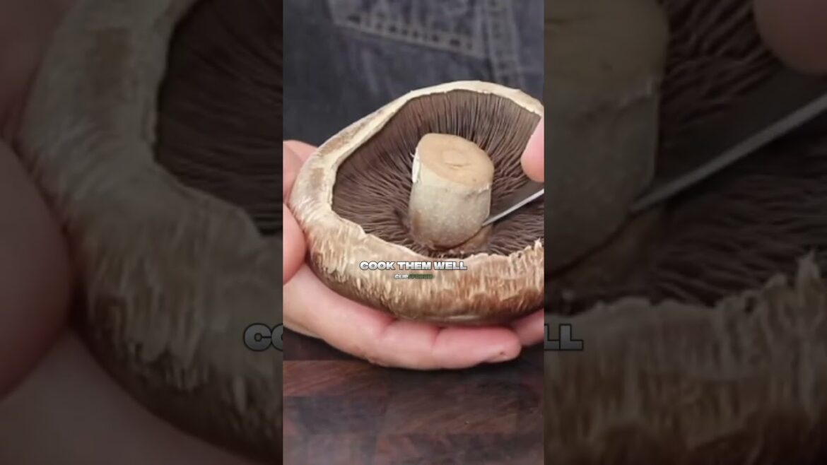 Joe Rogan exposes The dark secret behind portobello mushrooms