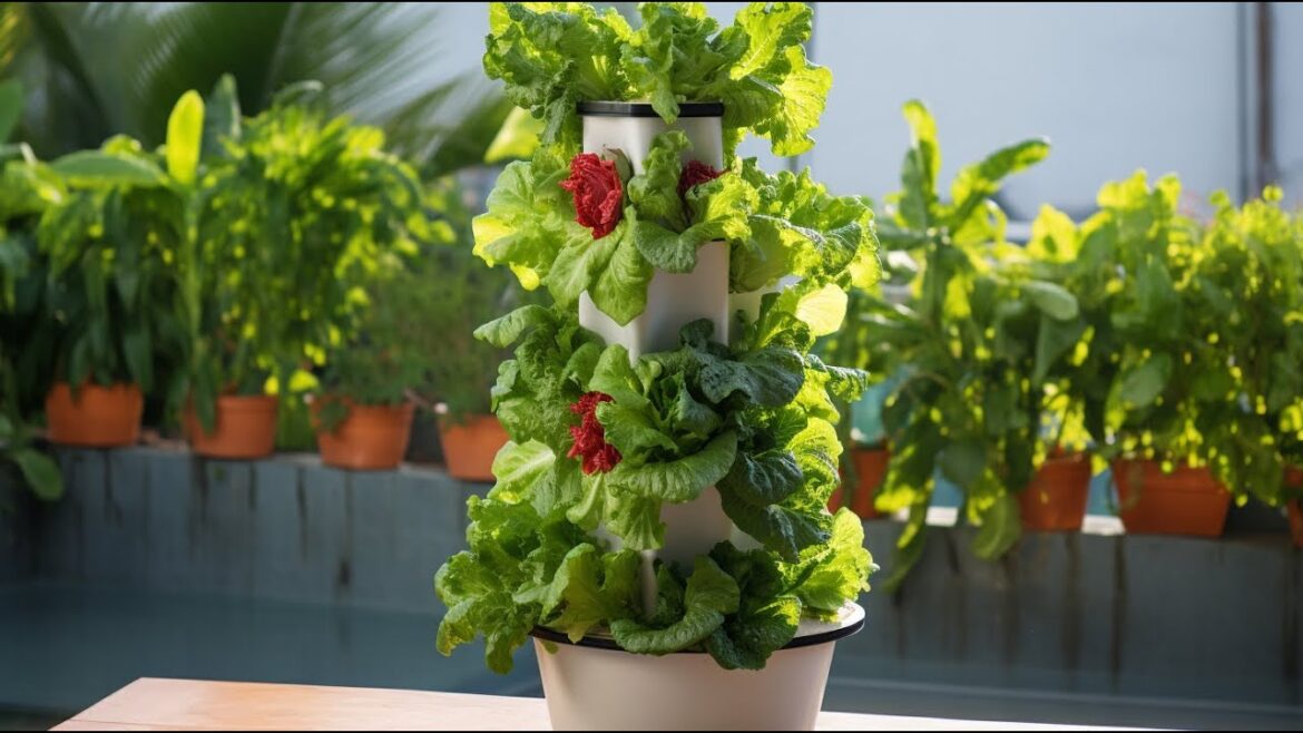 STUNNING! HYDROPONICS VEGETABLE GARDEN DESIGN IDEAS | BEST HYDROPONIC URBAN FARMING FOR SMALL SPACE