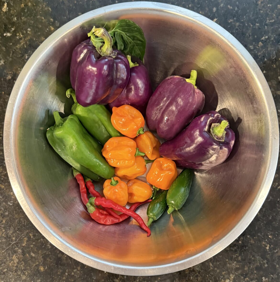 First year growing peppers in N. Florida. I’m hooked!
