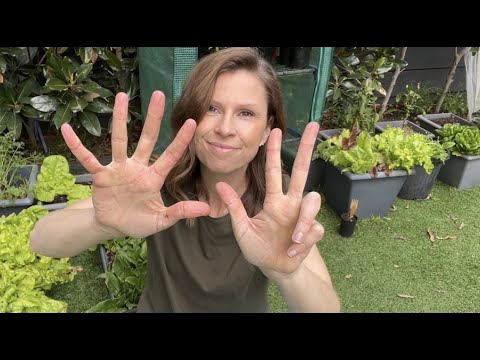 8 EASY vegetables to grow in POTS for a HUGE harvest // Container Gardening Australia // Melbourne 8 EASY vegetables to grow in POTS for a HUGE harvest // Container Gardening Australia // Melbourne