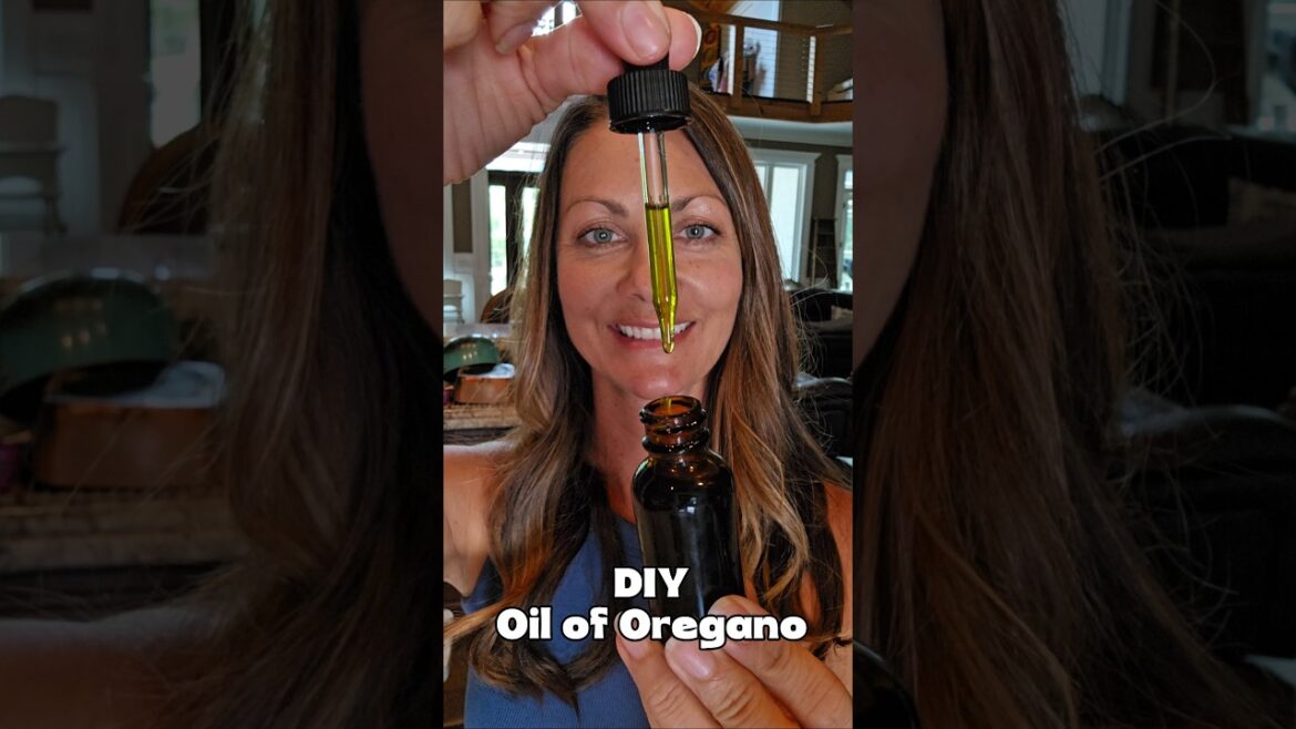 How to Make Homemade Oil of Oregano DIY Oil of Oregano #oregano #oil #diy #homemade