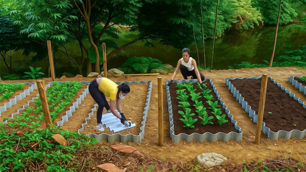 TIMELAPSE: 250 Days Building a Vegetable Garden and Completing the Farm in the Forest